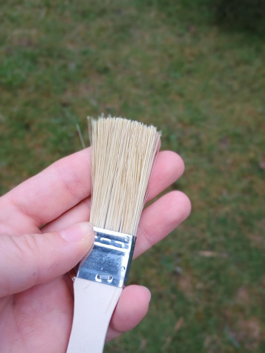 Paint Style Hoof Brush