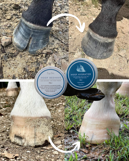 Ultimate Equine Hoof Bundle Deal