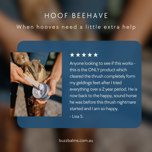 Hoof Beehave- Zinc Hoof Paste