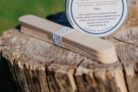 Wooden Applicators - Pack of 10