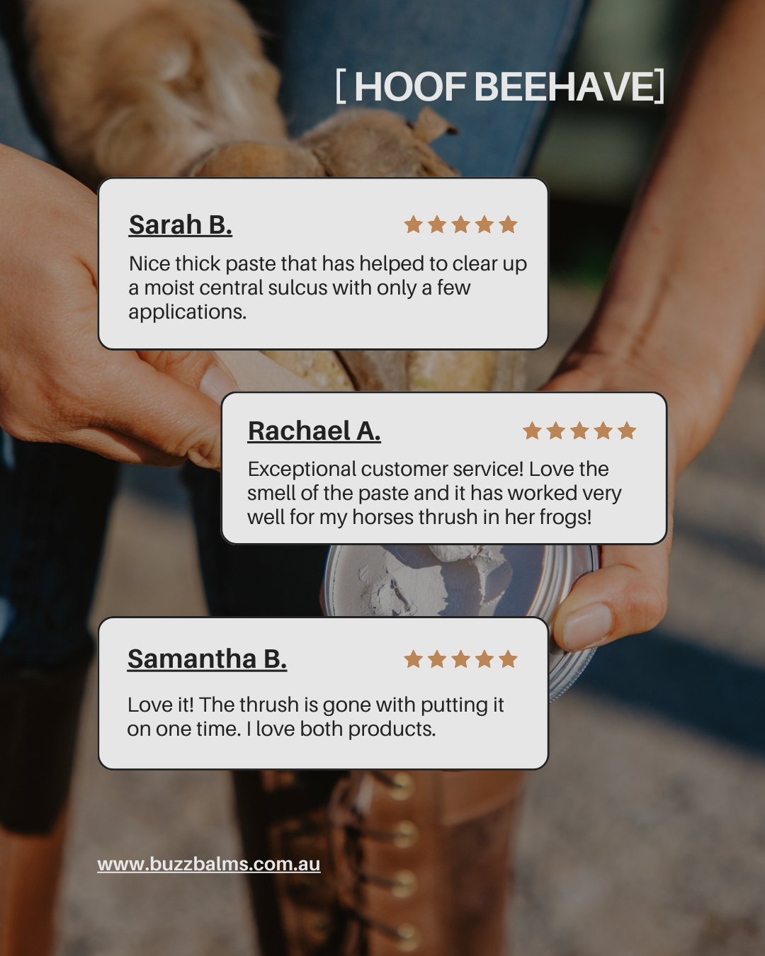 Hoof Beehave - Zinc Hoof Paste Large Size