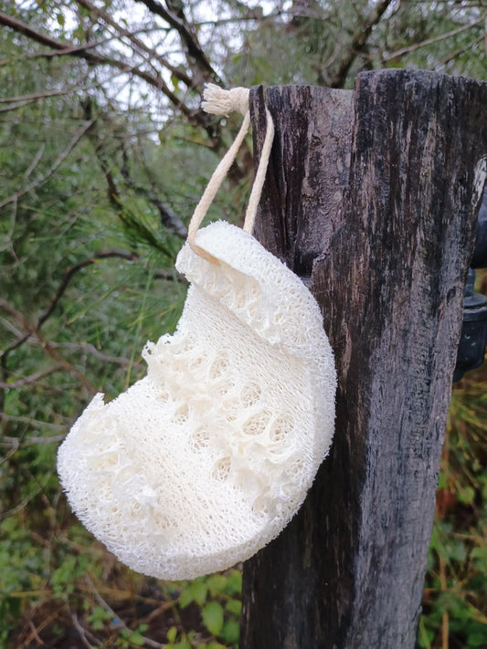 Compostable Loofa Washing Sponge
