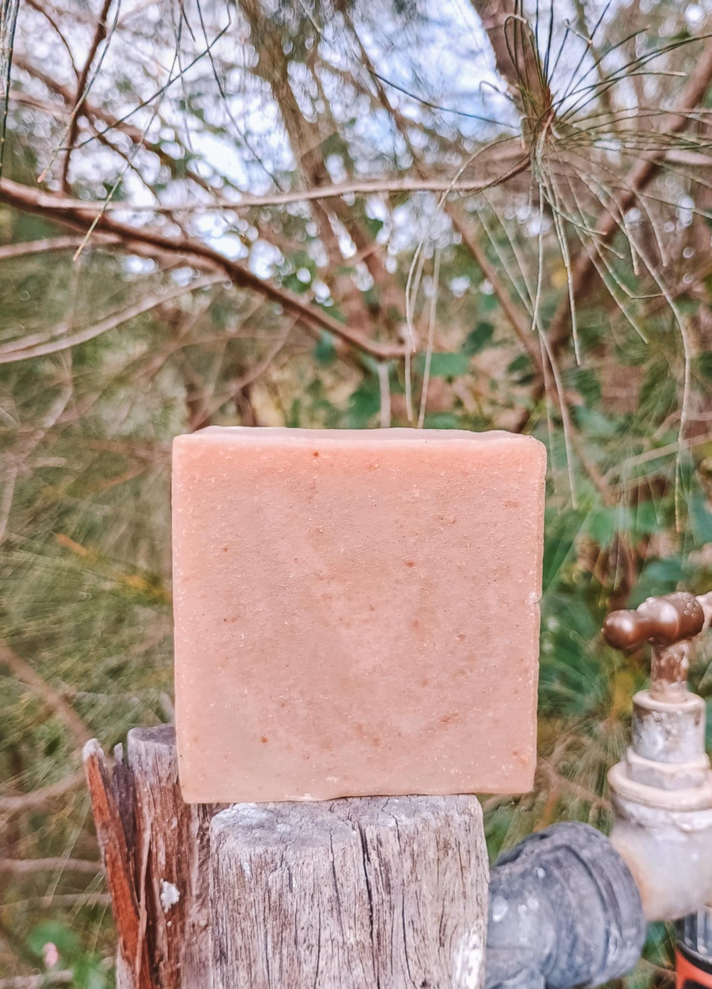 Equine and Pet Shampoo Bar