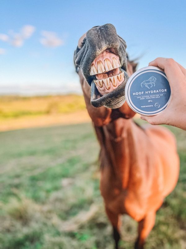 Hoof Hydrator - Equine Hoof Balm