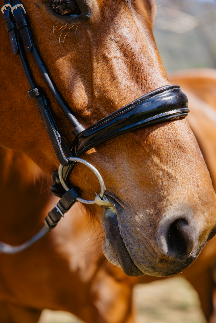 Ask a Bit Fitter with Sharon Furlong