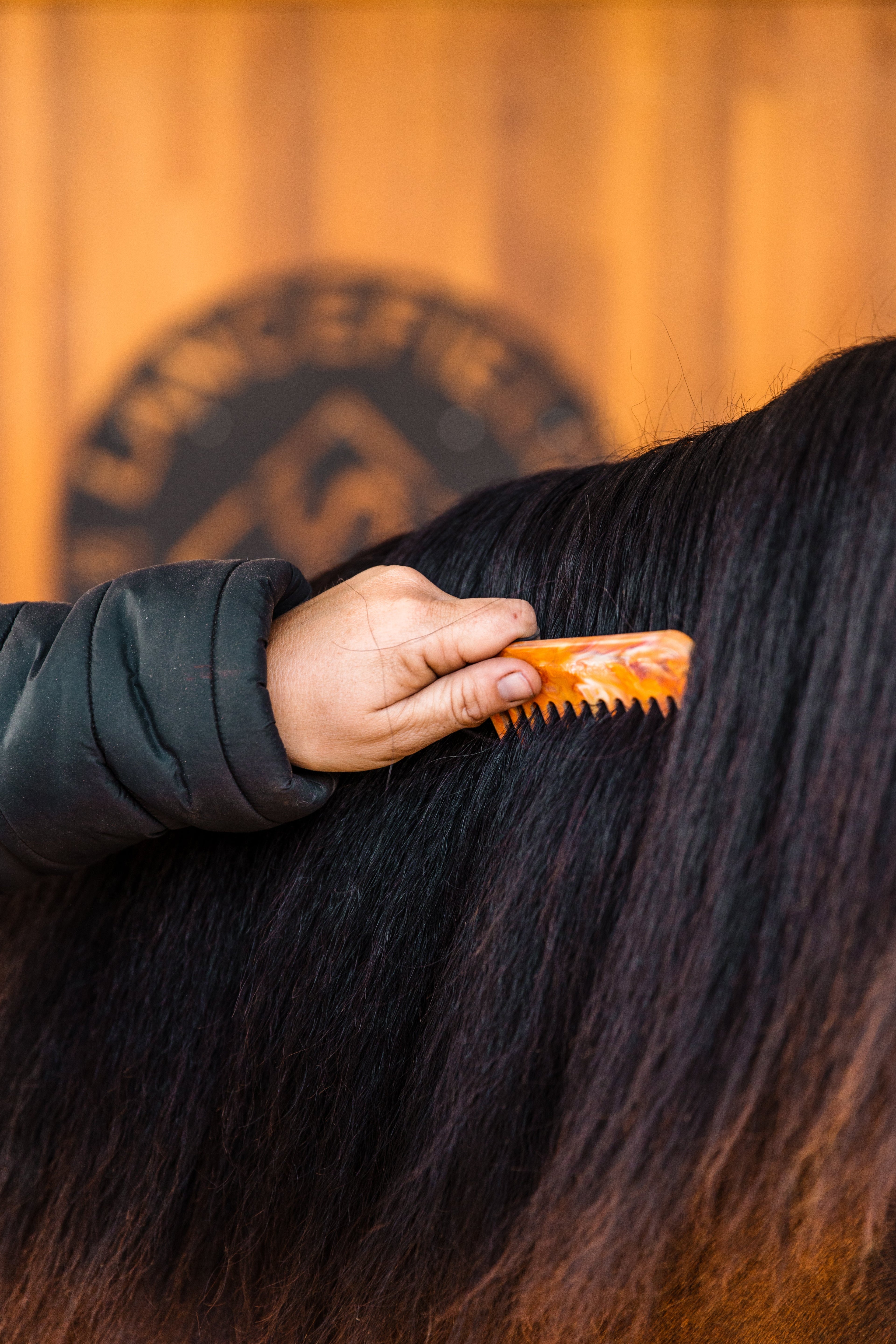 Equestrian Accessories