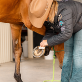 Hoof Care