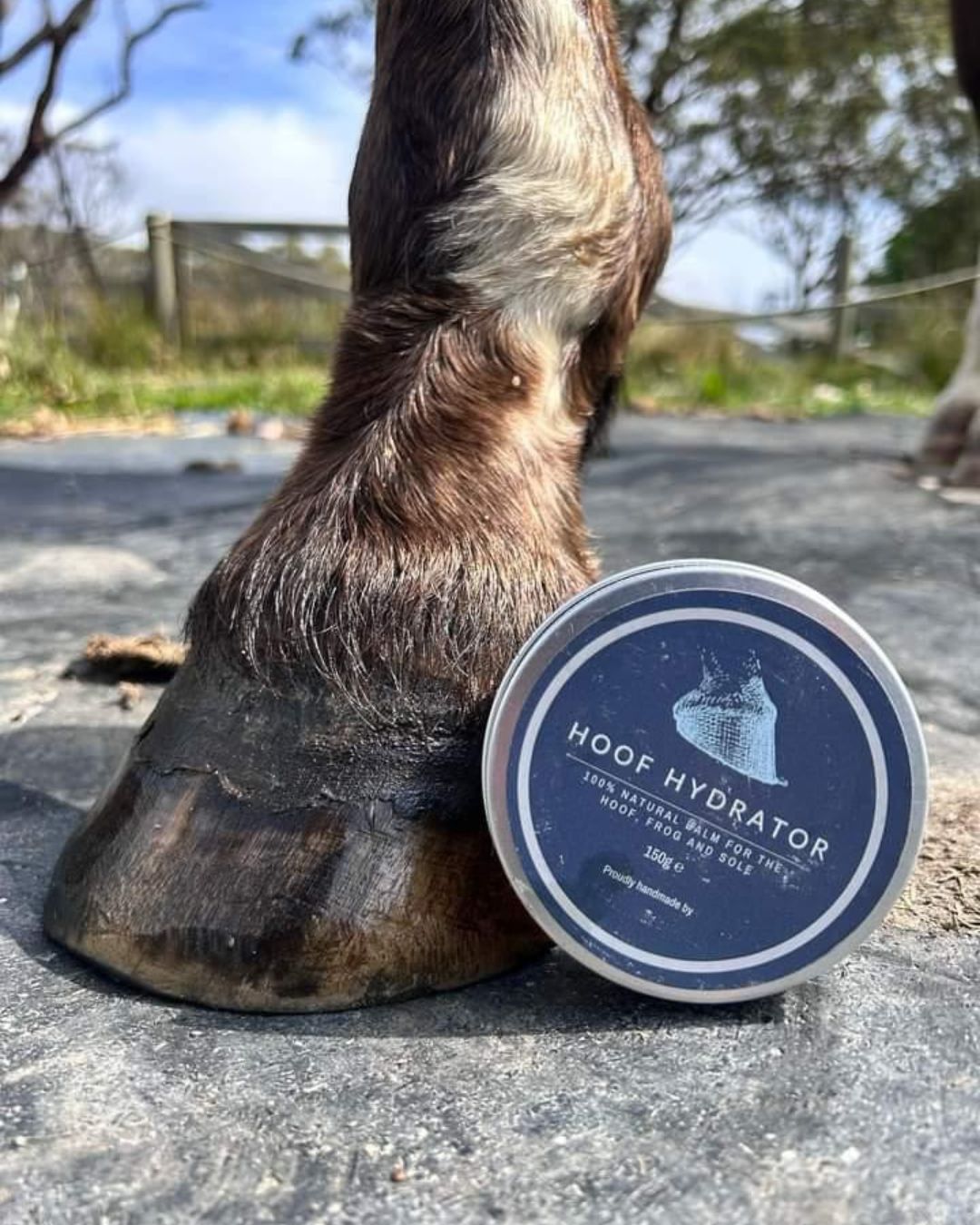 The OG Equine Bundle - Hoof Protection & Leather Balm