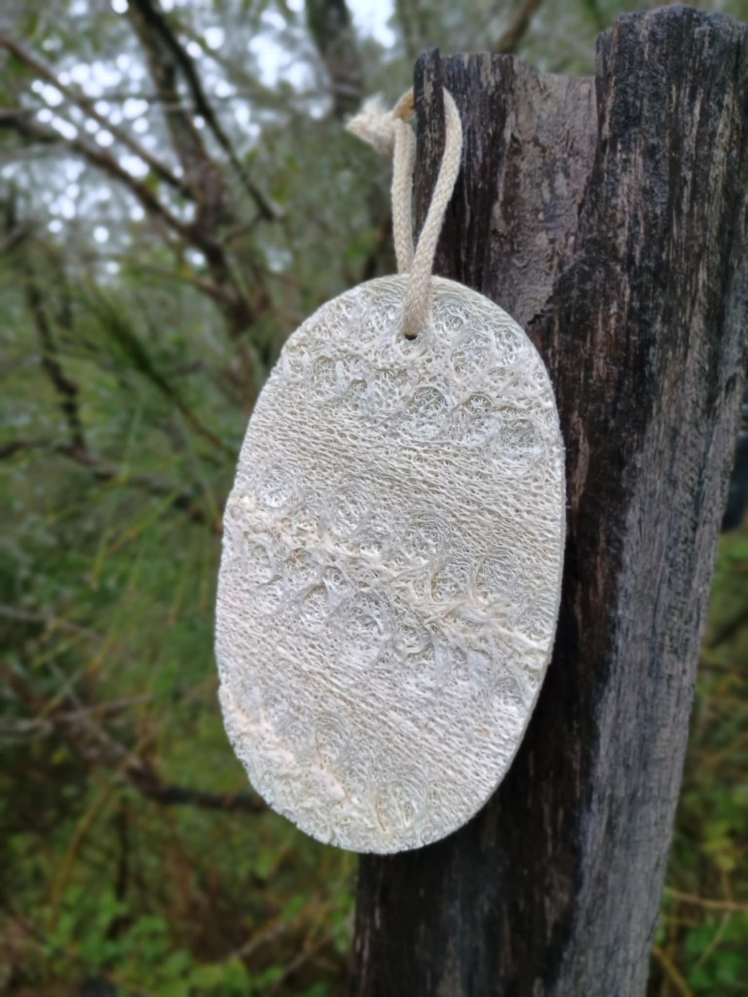 Compostable Loofa Washing Sponge