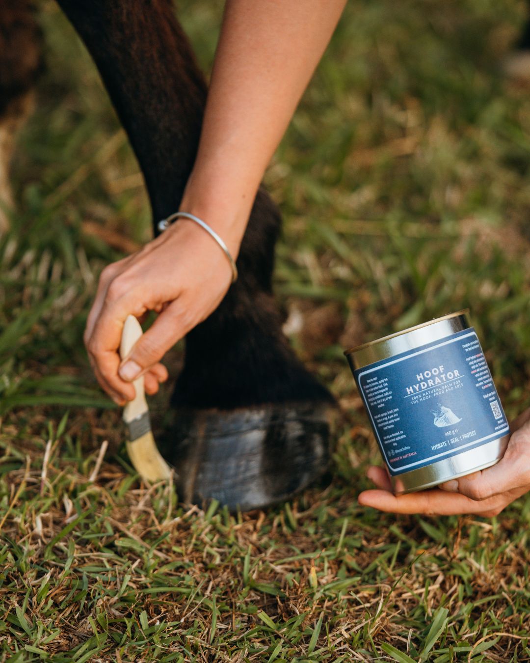 Hoof Hydrator - LARGE Equine Hoof Balm