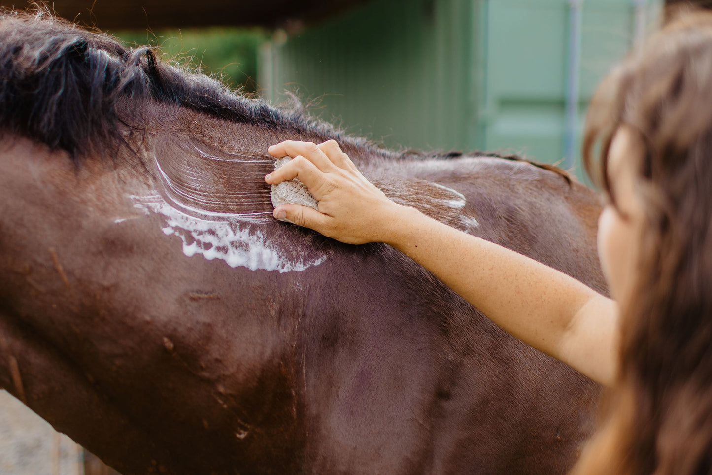 Equine and Pet Shampoo Bar