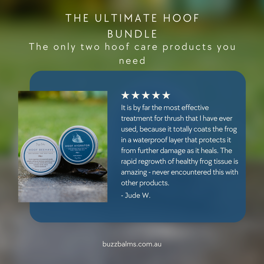 Ultimate Equine Hoof Bundle Deal