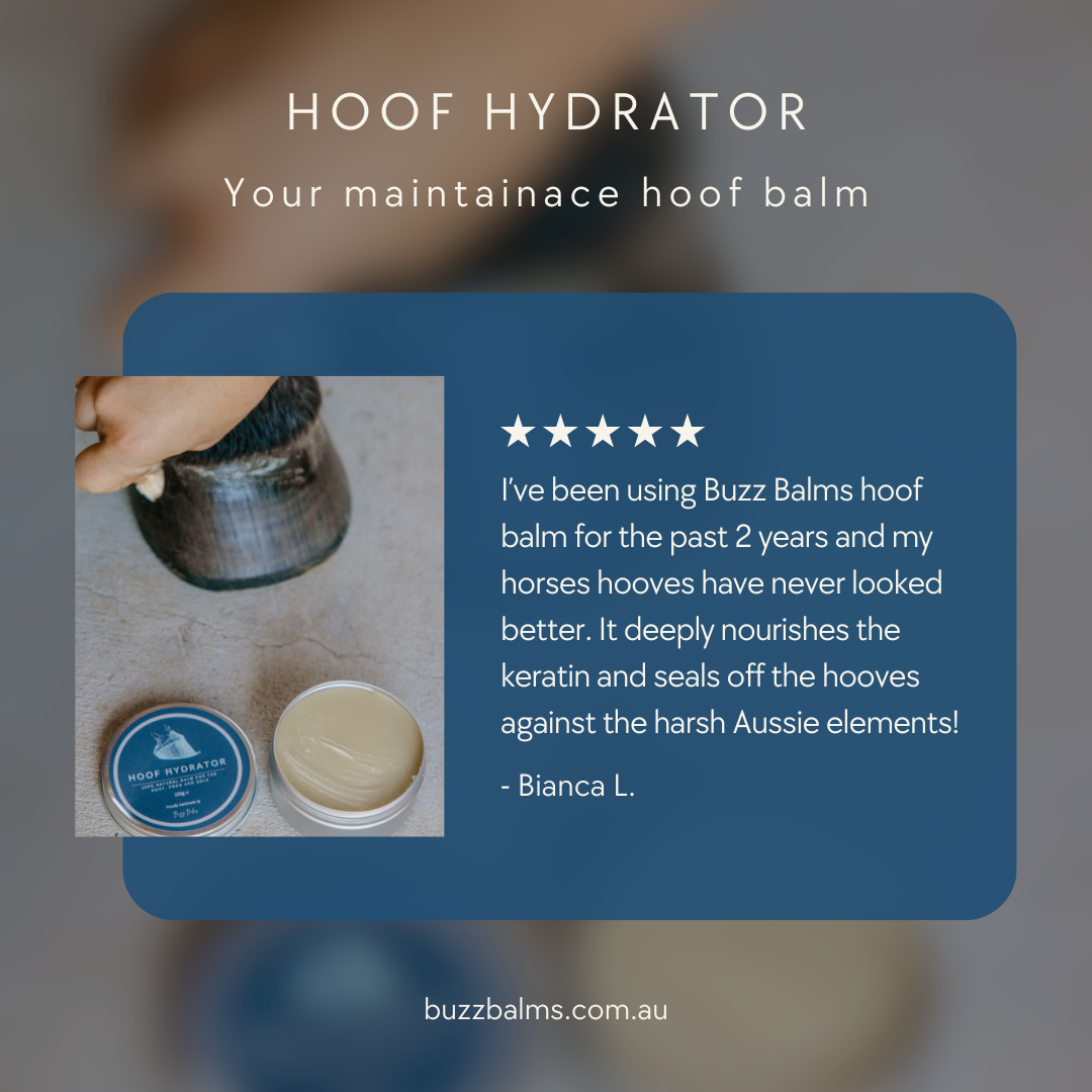 Hoof Hydrator - Equine Hoof Balm