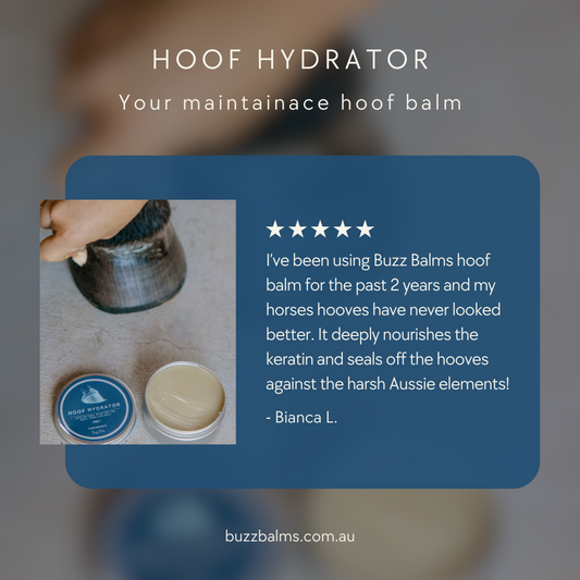 Hoof Hydrator - LARGE Equine Hoof Balm