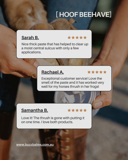 Hoof Beehave - Zinc Hoof Paste Large Size