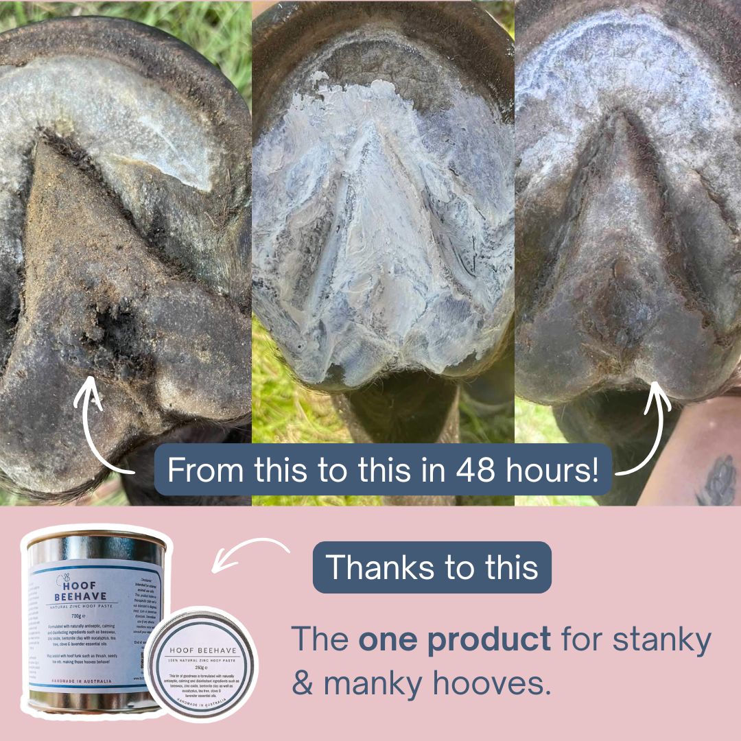 Hoof Beehave- Zinc Hoof Paste