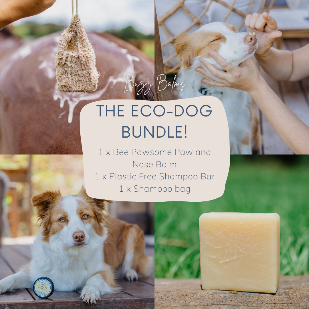 Eco Dog Bundle