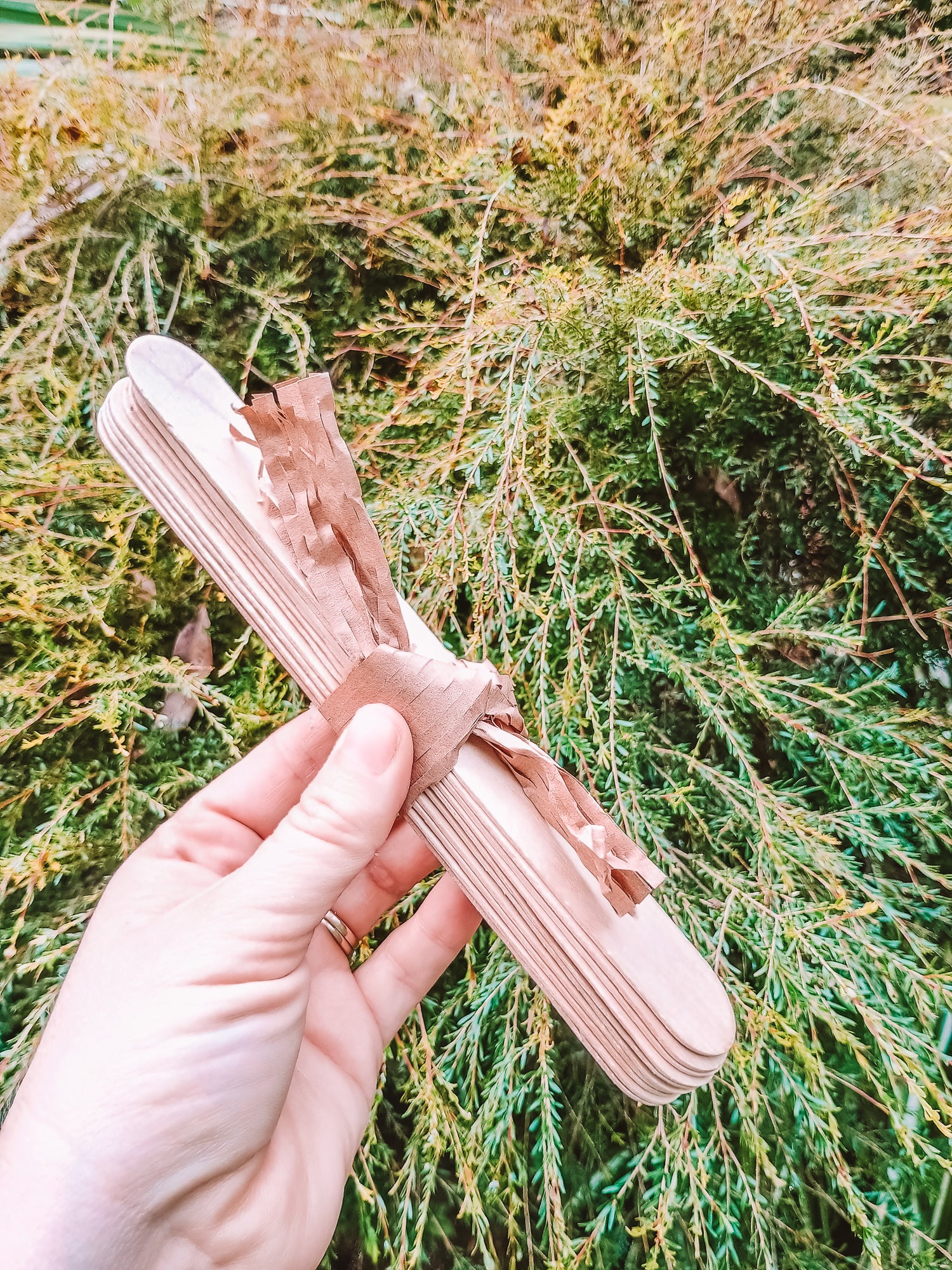 Hand holding a wooden comb against a natural background of green and brown foliage.