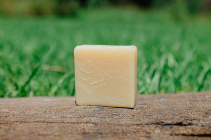 Equine and Pet Shampoo Bar