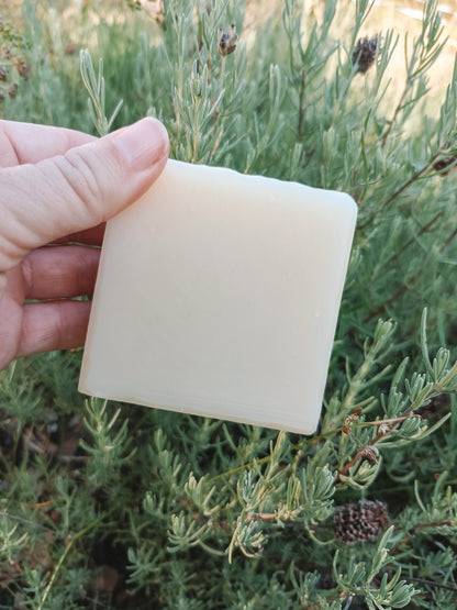 Equine and Pet Shampoo Bar