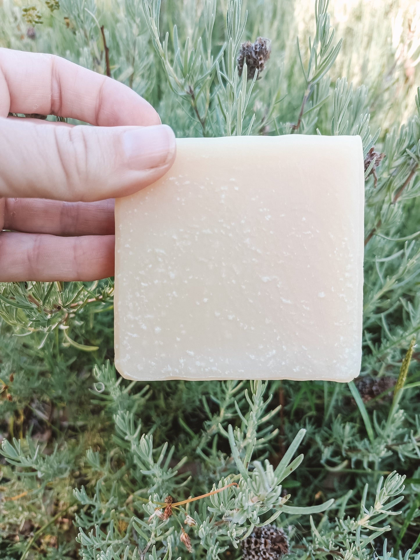 Equine and Pet Shampoo Bar