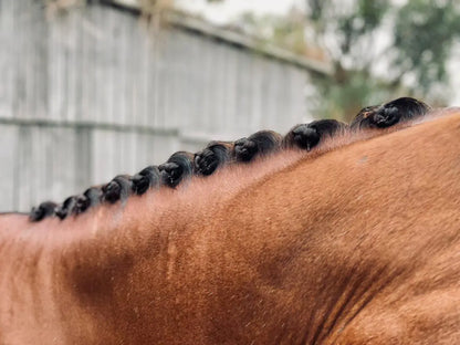 Braid Beehave Beeswax Braiding Balm